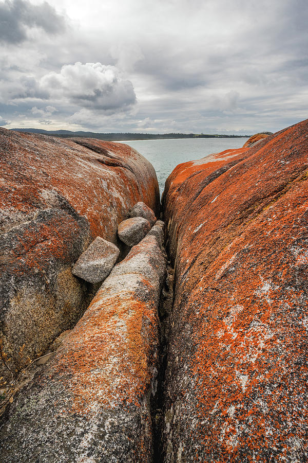 Rock Life - Bay of Fires - Tasmania Photograph by Anthony Davey
