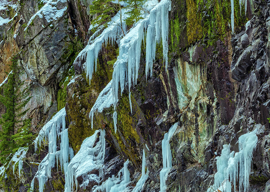 Rock-Moss-and-Ice Photograph by Jonathan Nguyen