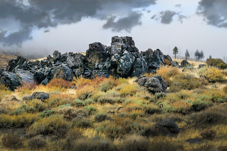 Rock Outcrop Photograph by Frank Wilson