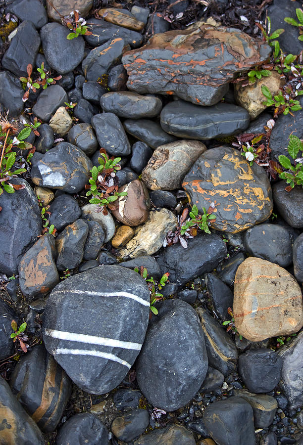 Rock Pile Photograph by Angie Schutt