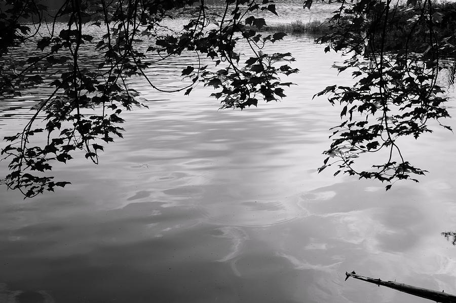 Rock Pond by Bob Grabowski Rock Pond by Bob Grabowski