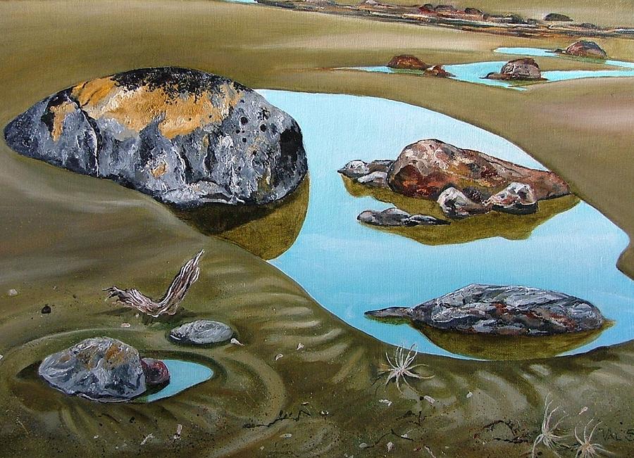 Rock Pool No. 2 Painting by Val Stokes