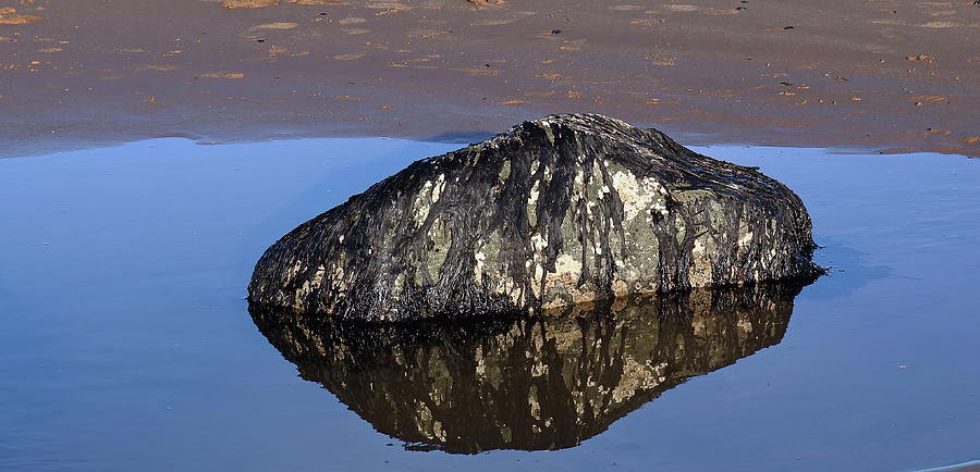 Rock Reflection Photograph by Jeff Townsend