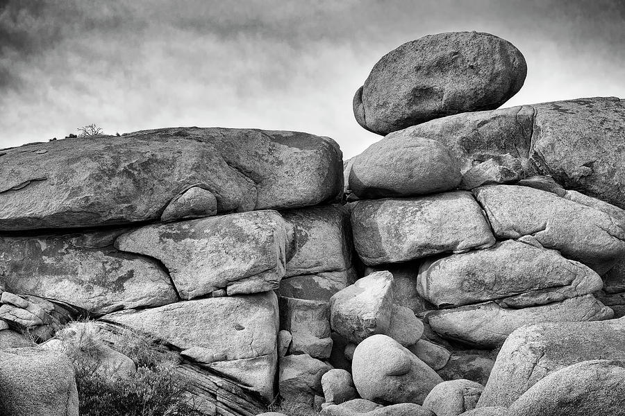 Rock Steady Photograph by Jon Exley