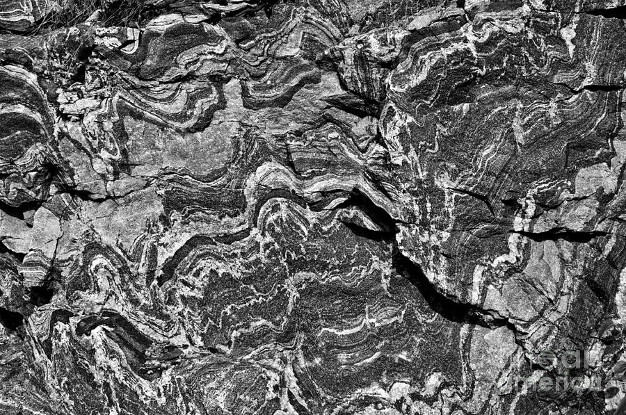 Rock Veins - monochrome Photograph by Les Palenik