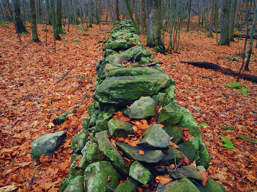 Rock Wall Along the Appalachian Trail in New Jersey Photograph by Raymond Salani III
