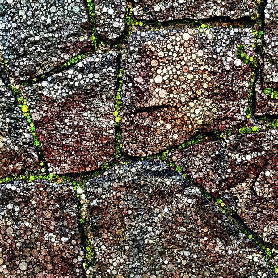 Rock Wall with Moss Abstract Digital Art by Dana Roper