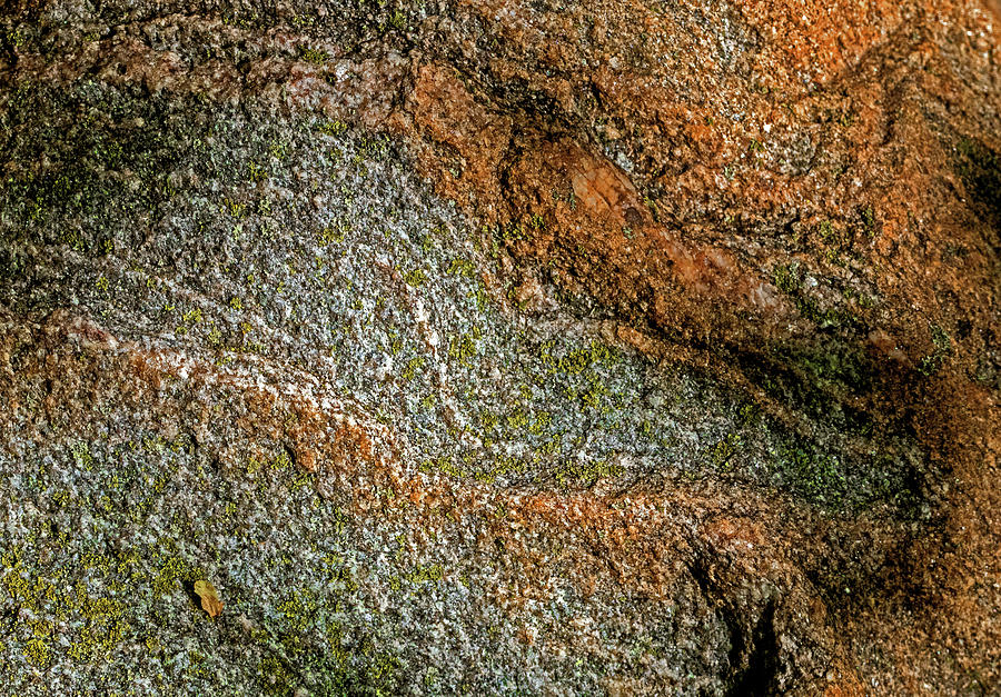 Boulder with Lichen Photograph by Ira Marcus