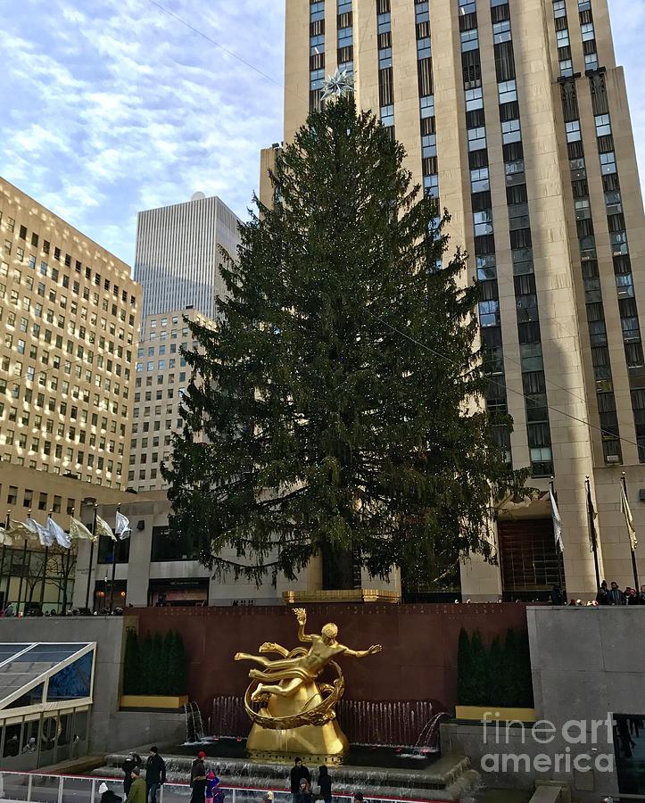 Rockefeller Center Christmas Tree Photograph by CAC Graphics