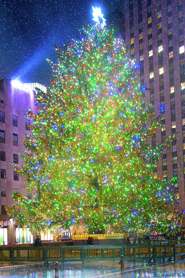 Rockefeller Center Christmas Tree Photograph by Mark Andrew Thomas