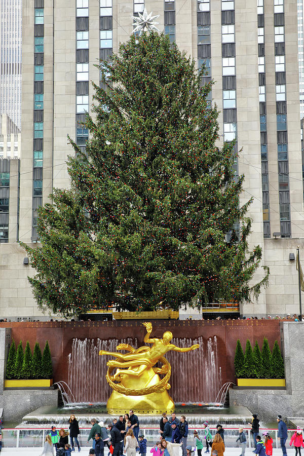 Rockefeller Center Christmas Tree Photograph by Mitch Cat