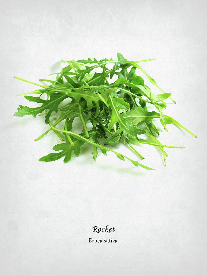 Food And Beverage Photograph - Rocket by Mark Rogan
