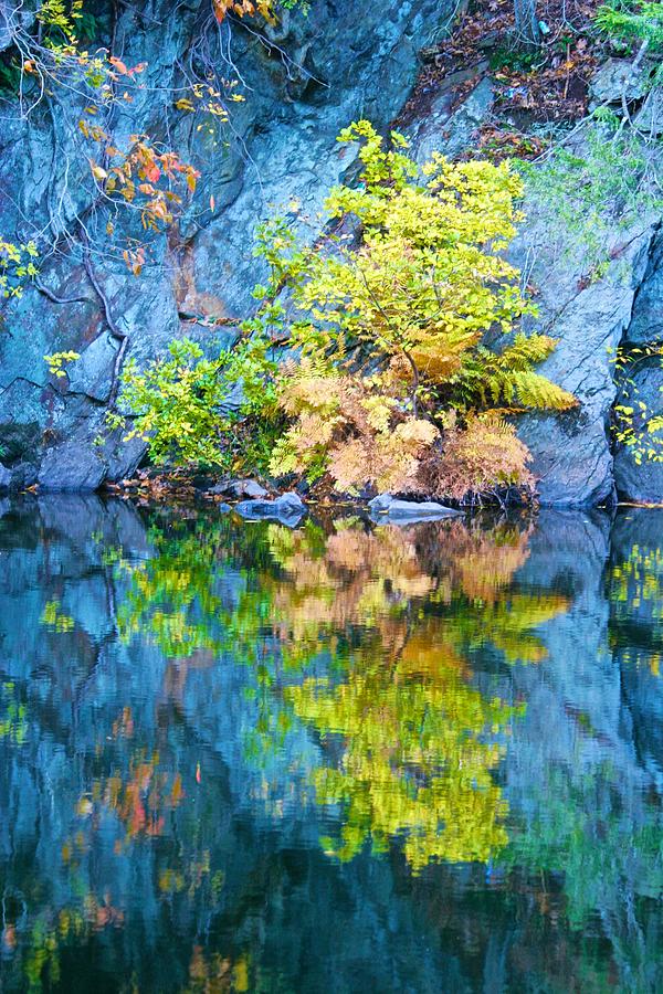 Rockface and Tree Reflected Photograph by Polly Castor