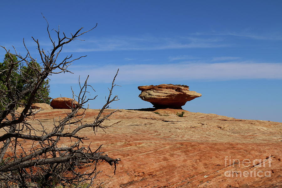 Rockformation At Canyon de Chelly Photograph by Christiane Schulze Art And Photography