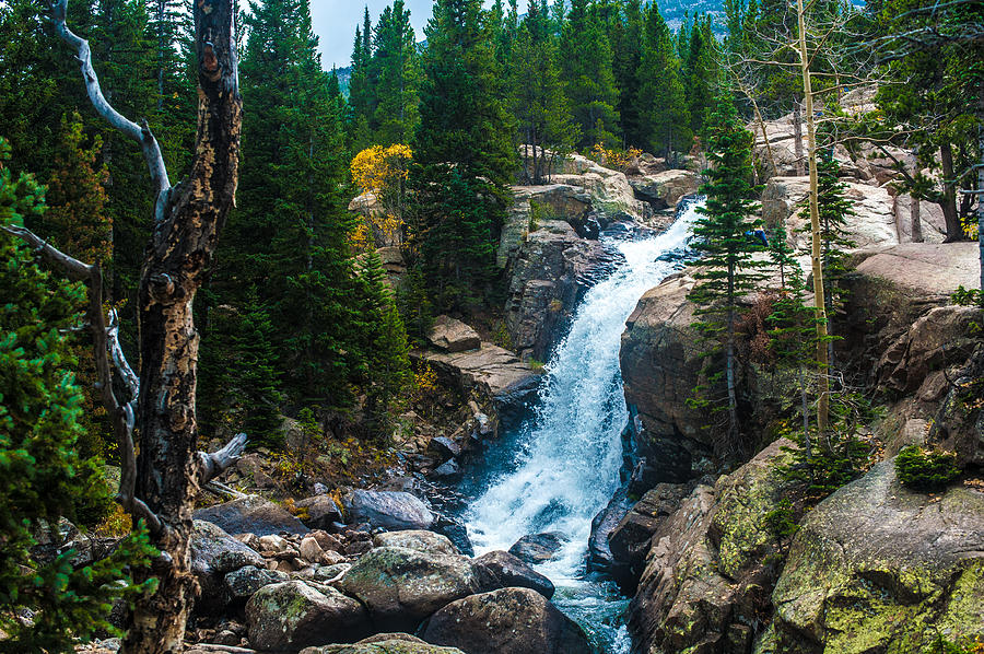 Rockie Mountain Serenity Photograph by JK Davis - Fine Art America