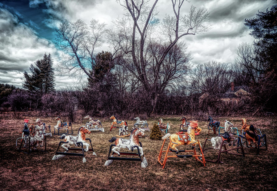 Rocking Horse Graveyard  Photograph by Lilia S