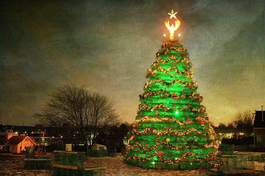 Rockland Lobster Trap Christmas Tree Photograph by Cindi Ressler