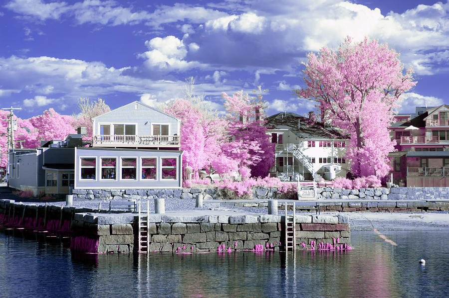 Rockport Harbor in infrared Photograph by Brian Hale