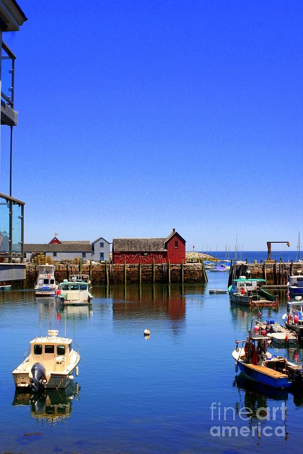 Seagull Photograph - Rockport Harbor by John Kenealy