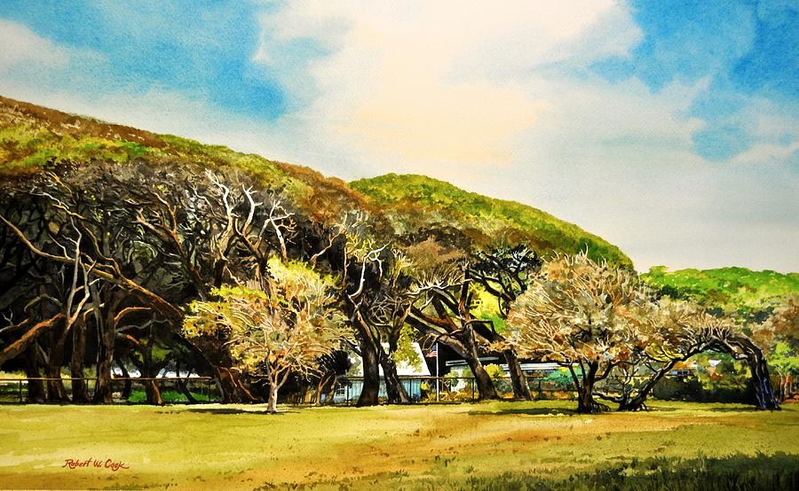 Rockport Oaks Painting by Robert W Cook