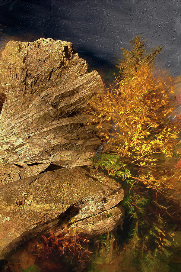 Rocks and Fall Colors at Night in the Blue Ridge AP Digital Art by Dan Carmichael