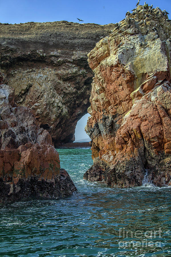 Rocks and Pelicans at Ballestas islands in Peru Photograph by Patricia Hofmeester