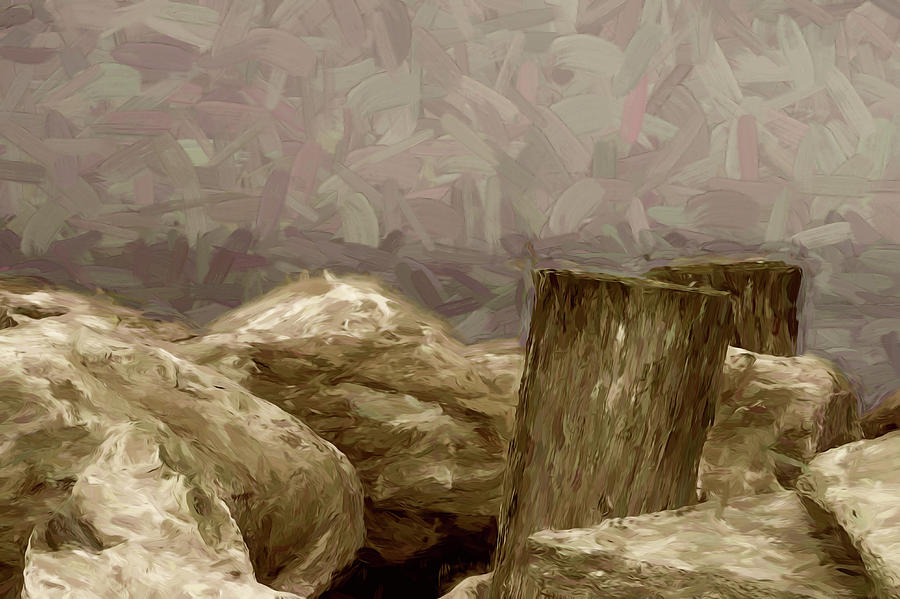 Rocks and Pilings Digital Art by Scott Carlton