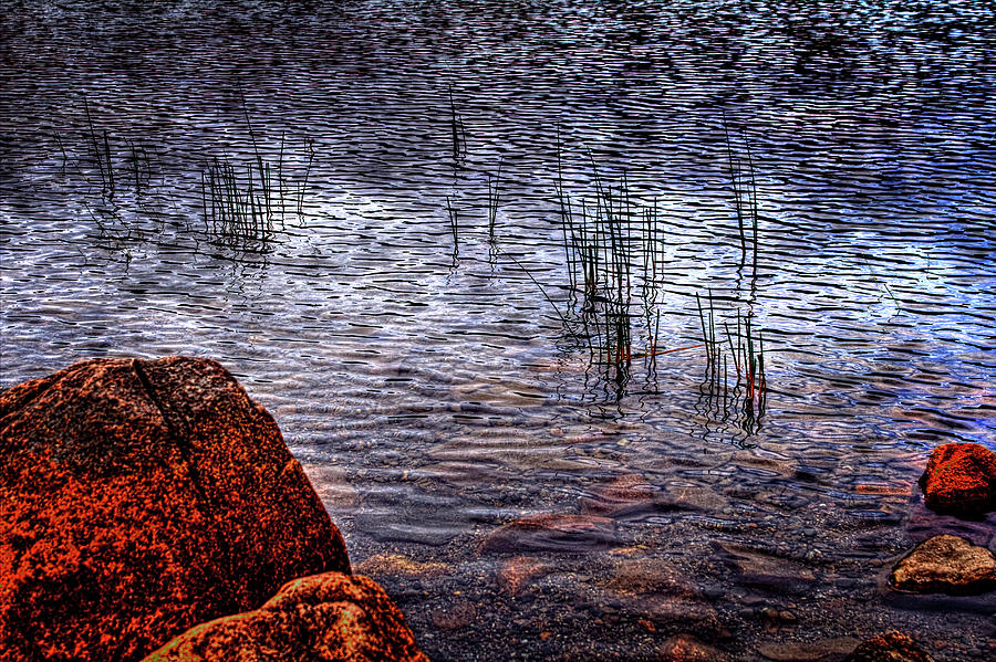 Rocks and Reeds at Jordan Pond Photograph by Roger Passman