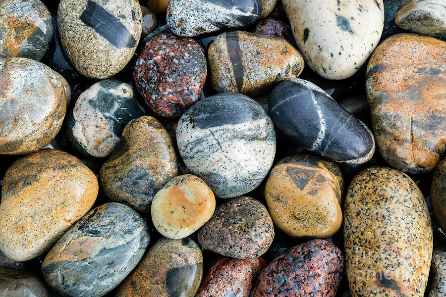 Rocks at Boulder Beach - Acadia National Park Photograph by Craig Shaknis