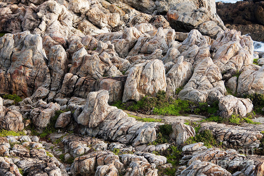 Rocks At Hermanus, South Africa Photograph by Gerard Lacz