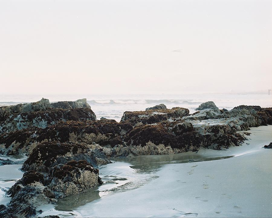Landscape Photograph - Rocks at Low Tide by Bruce Wayne