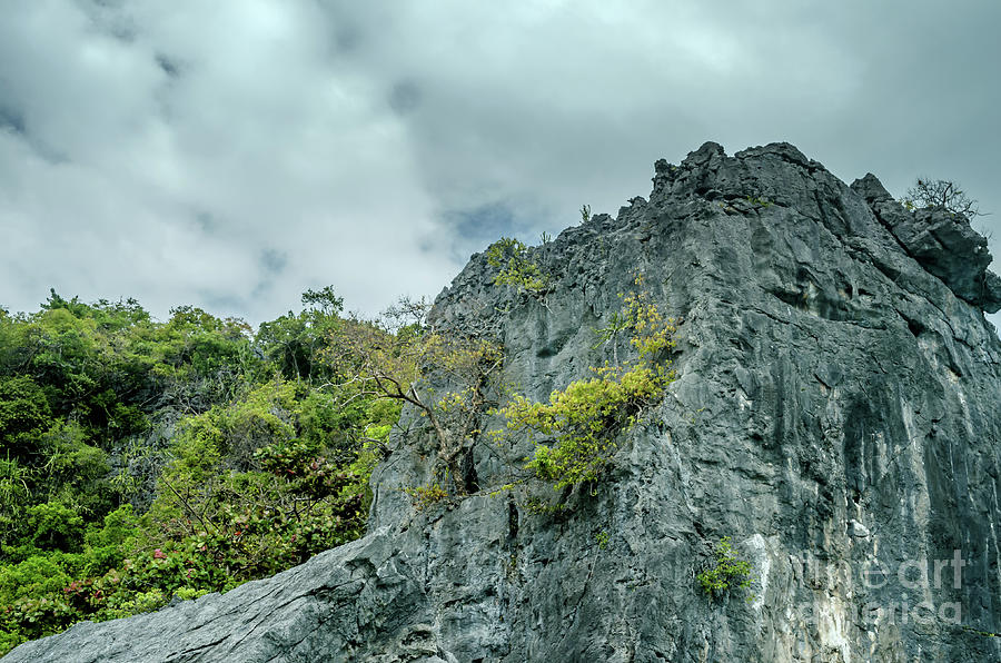 Rocks At Moo Koh Angthong Photograph by Michelle Meenawong