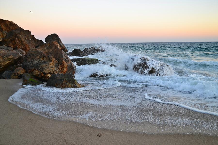 Rocks At Point Dume In Malibu Photograph