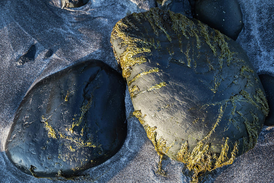 Rocks from Talisker Beach 2 Photograph by Davorin Mance