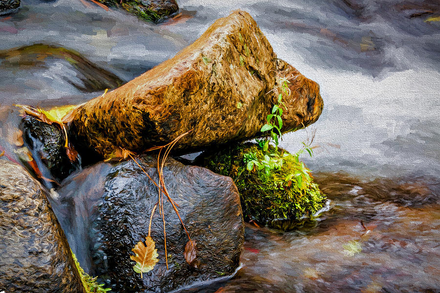 Rocks in the Creek Photograph by Maria Coulson