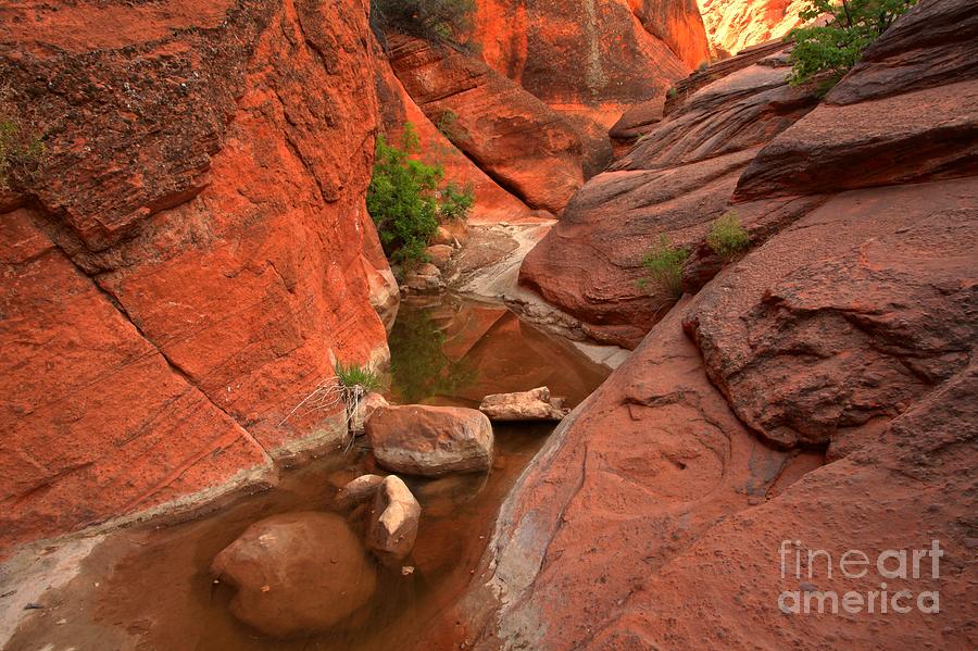 Rocks In The Red Rock Slots Photograph by Adam Jewell