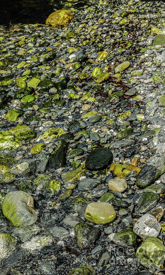 Rocks in Water #11 Photograph by Lexa Harpell