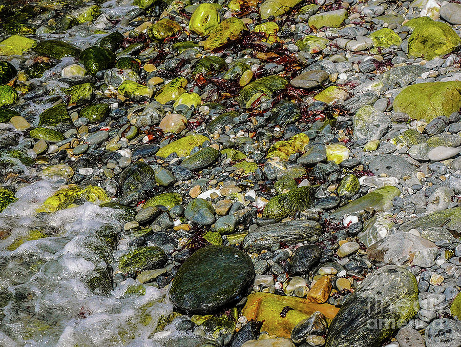 Rocks in Water #7 Photograph by Lexa Harpell