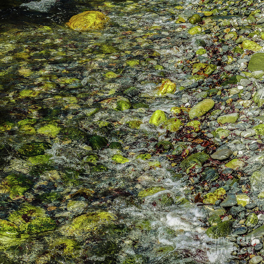 Rocks in Water #9 Photograph by Lexa Harpell