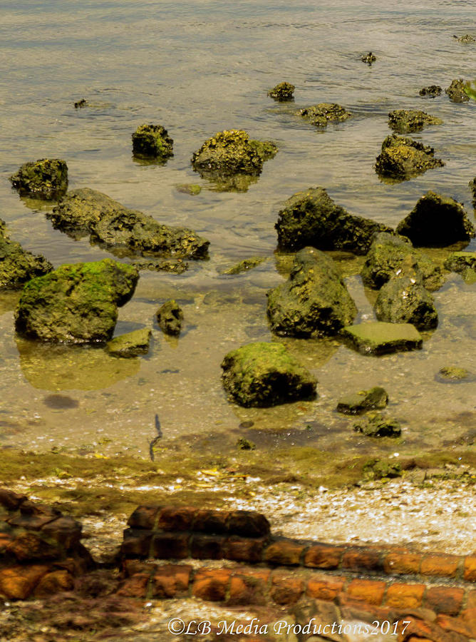 Rocks Photograph by Lynette Bell - Fine Art America