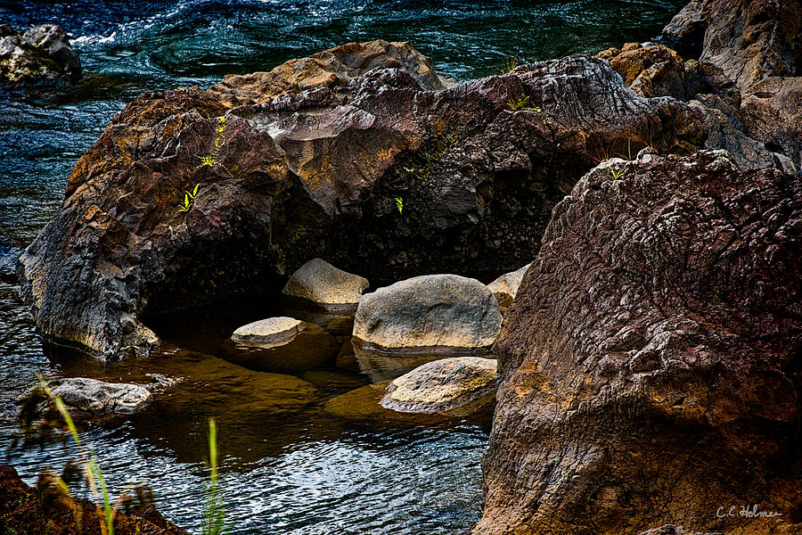 Rocks Nestling Photograph by Christopher Holmes