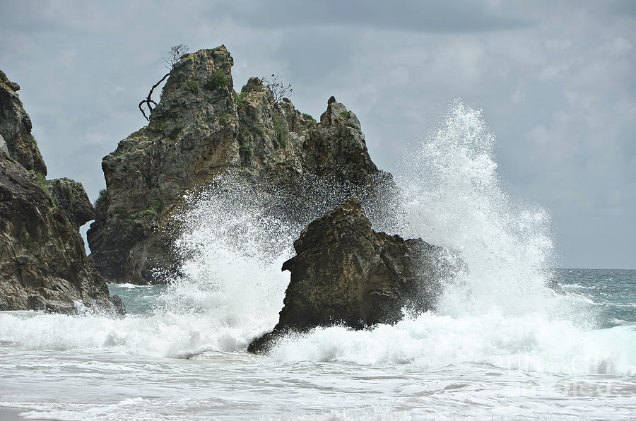Rocks of Coromandel, New Zealand Photograph by Yurix Sardinelly