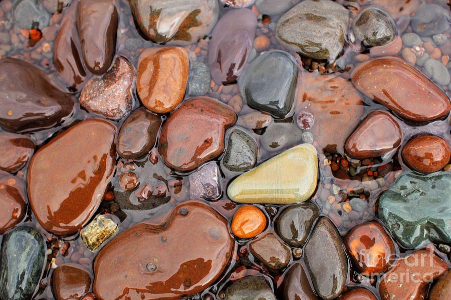 Rocks of Lake Superior 12 Photograph by Jimmy Ostgard