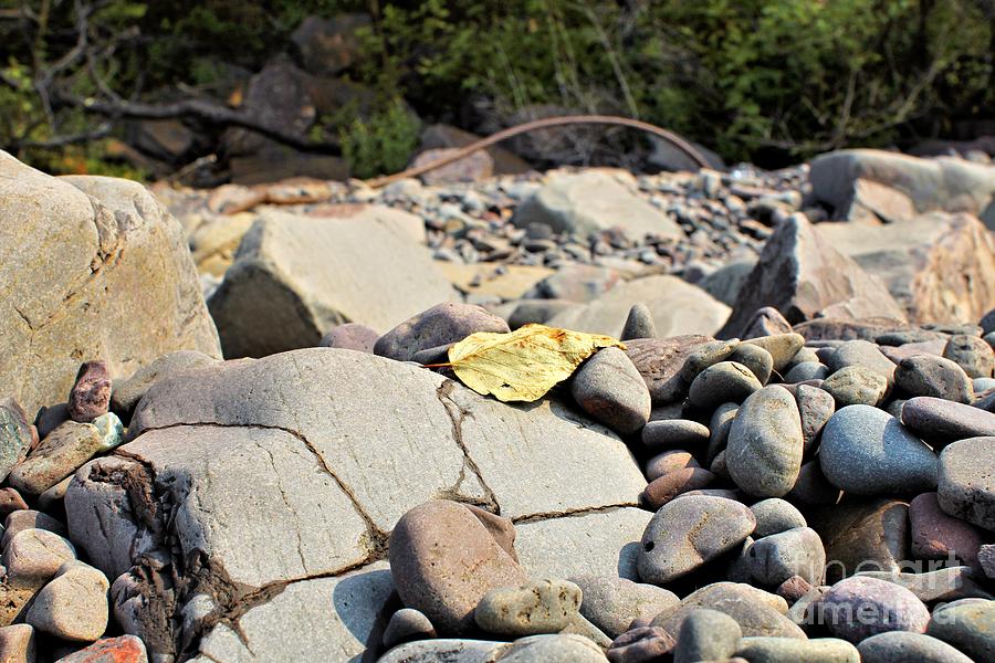 Rocks of Lake Superior 17 Photograph by Jimmy Ostgard