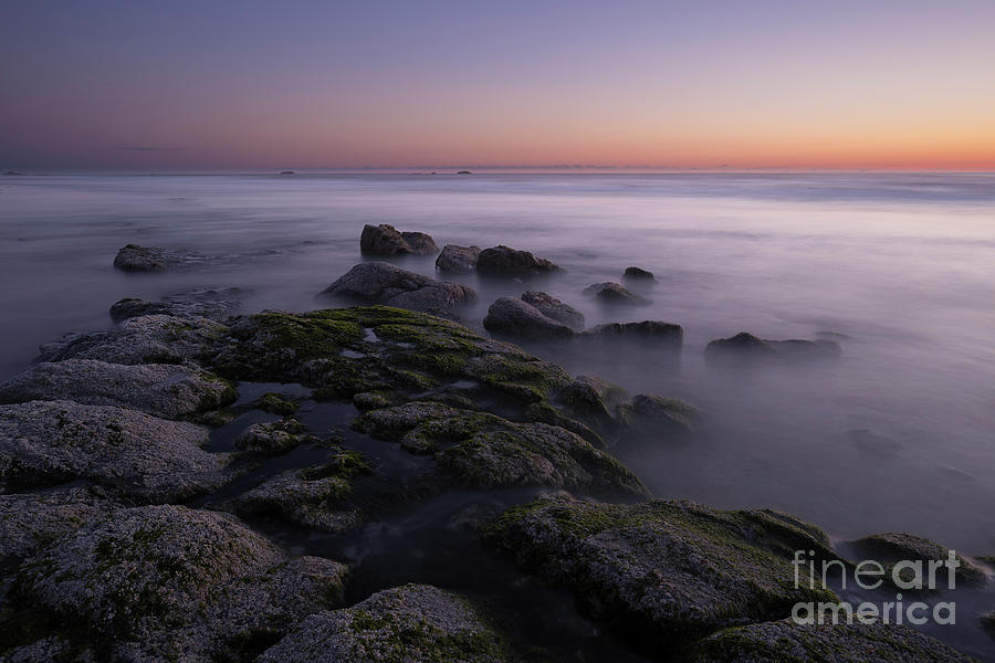 Rocks On The Beach At Sunset Photograph