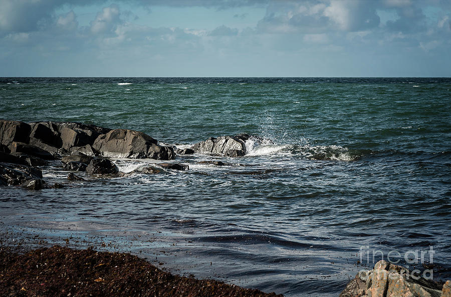 Rocky beach landscape Photograph by Sophie McAulay