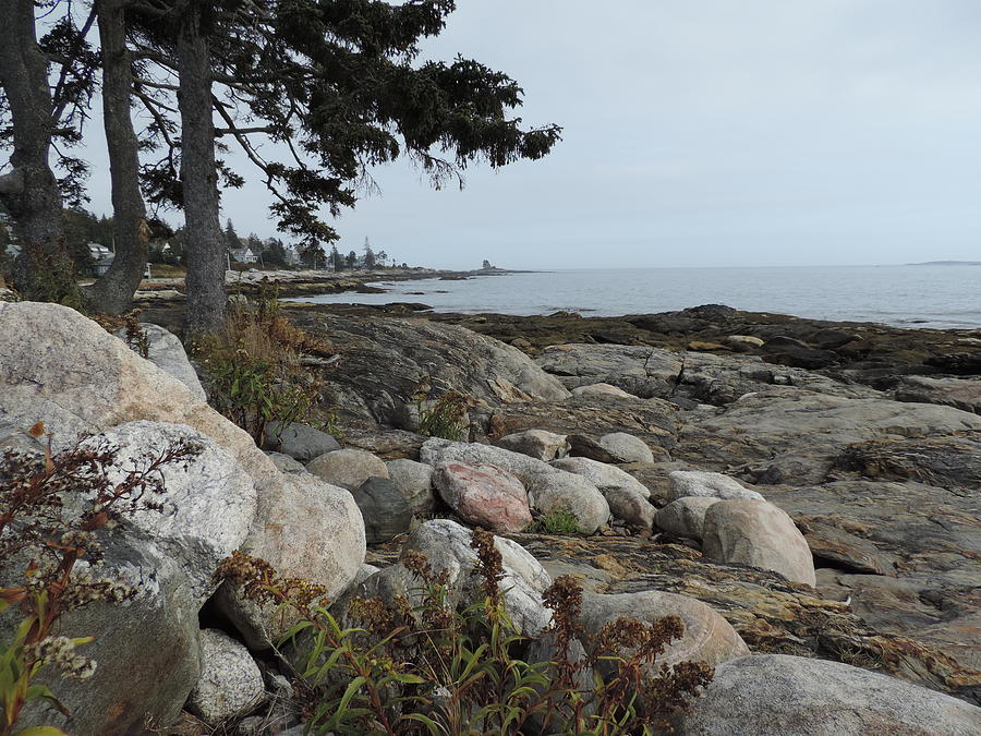 Rocky Coastline of Maine Photograph by Bill Tomsa