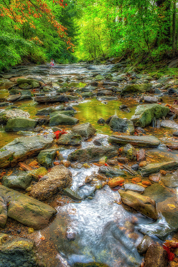 Rocky Creek at UNCA Photograph by Jim Call - Fine Art America