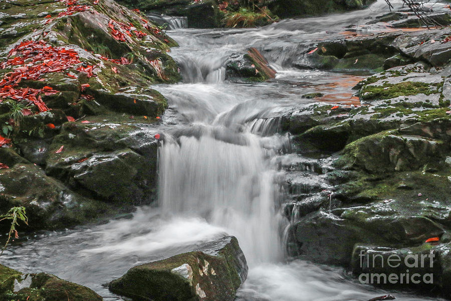Rocky Falls and Red Leaves Photograph by Tom Claud