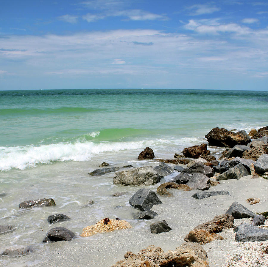 Rocky Florida Beach Photograph by Carol Groenen